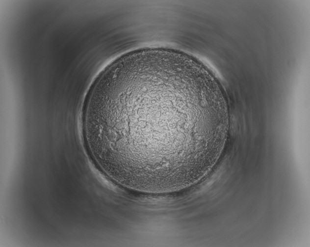 X0000113070895200909041055