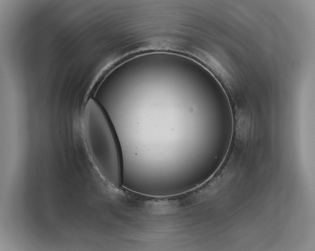 X0000113070896200909041055