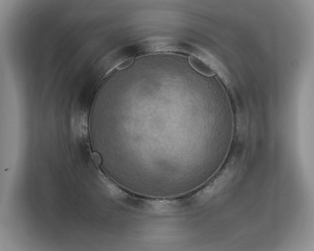 X0000113070897200909041055