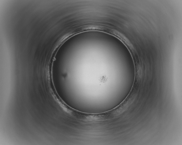 X0000113070898200909041055