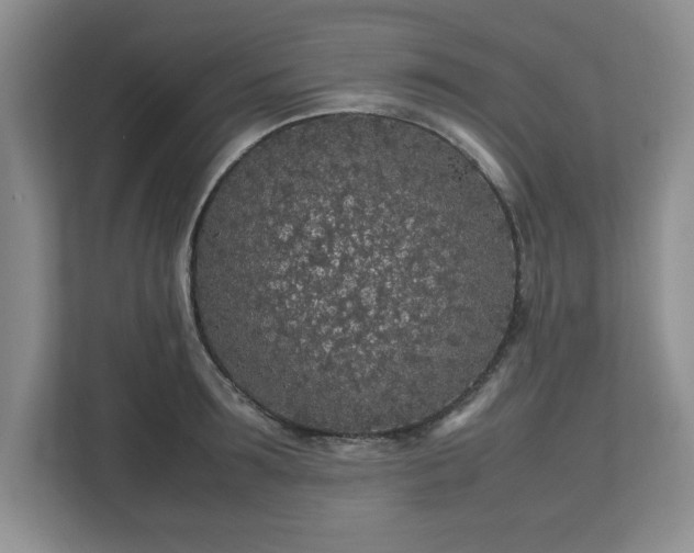 X0000113070899200909041055