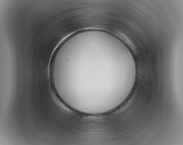 X0000113070900200909041055