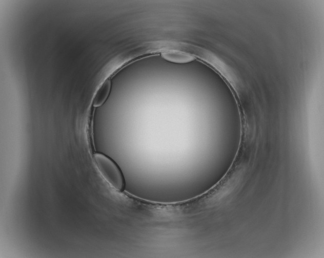 X0000113070901200909041055