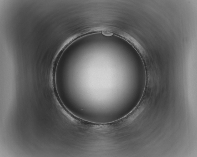 X0000113070902200909041055