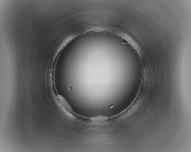 X0000113070906200909041055