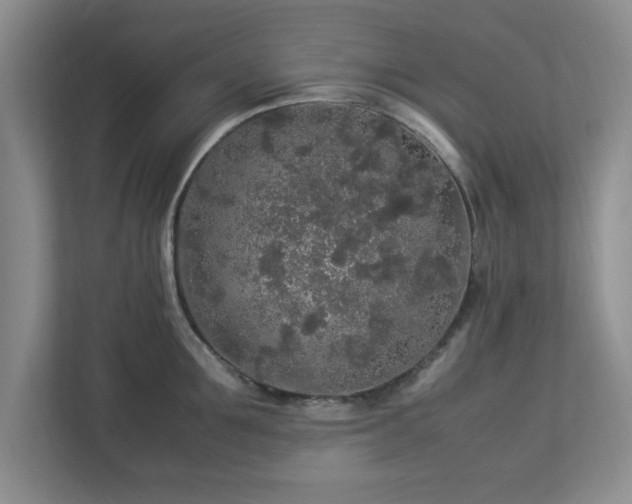 X0000113070907200909041055