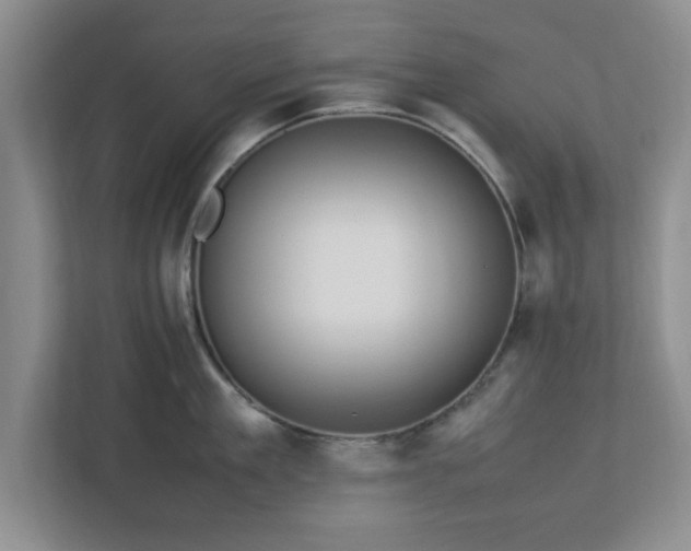 X0000113070909200909041055