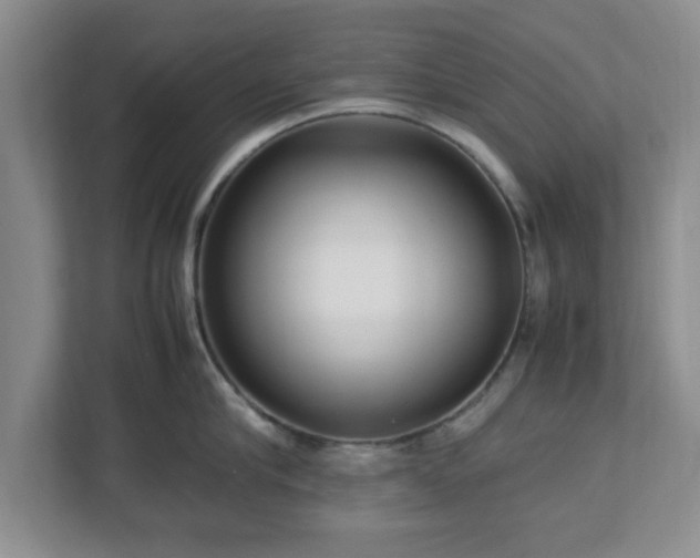 X0000113070910200909041055