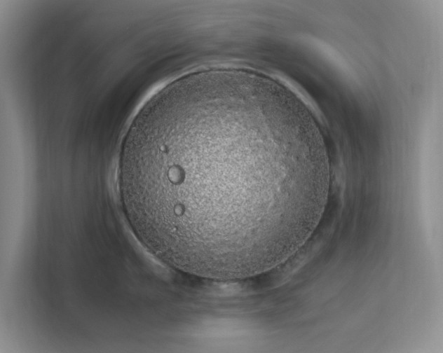 X0000113070911200909041055