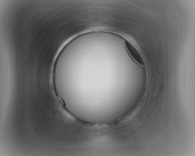 X0000113070912200909041055