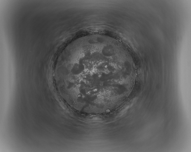 X0000113070913200909041054