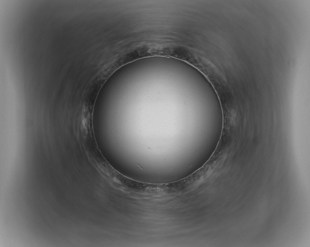 X0000113070914200909041055