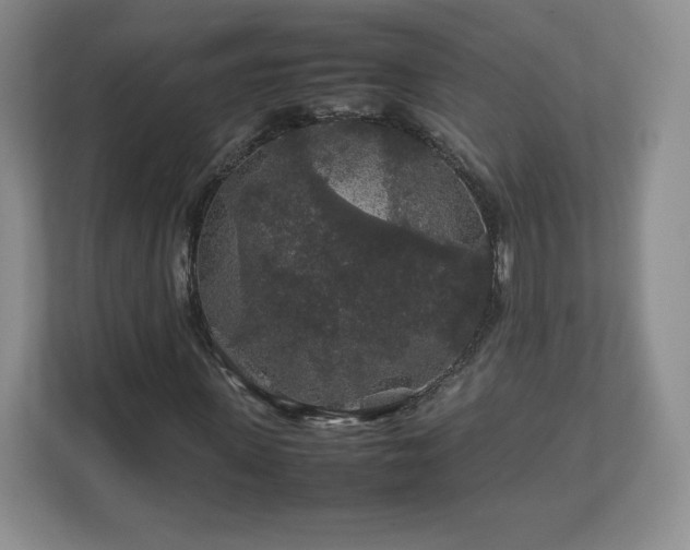 X0000113070915200909041055