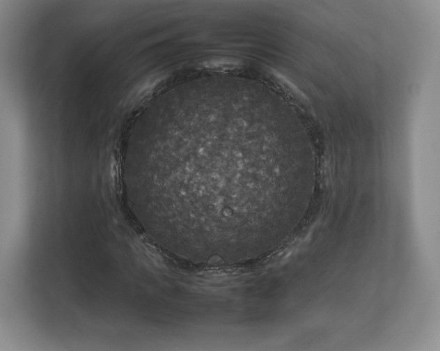 X0000113070917200909041055