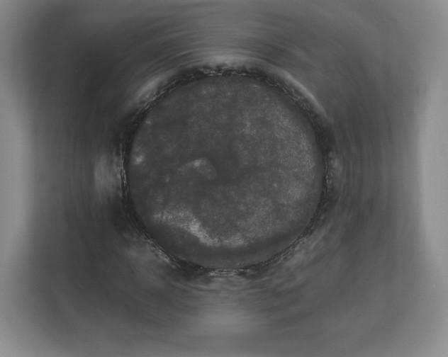 X0000113070918200909041055