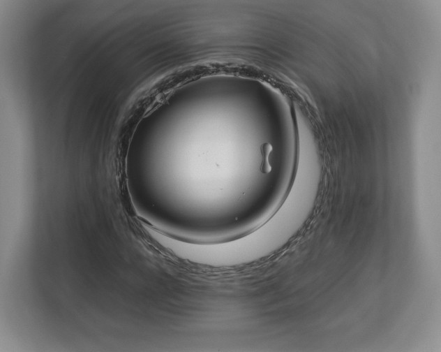 X0000113070920200909041055