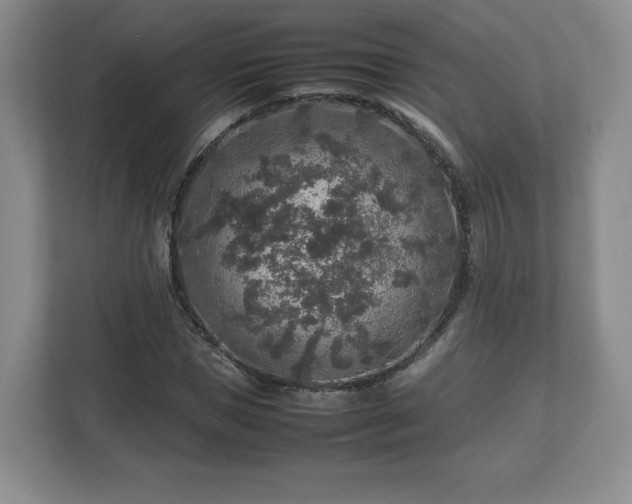 X0000113070921200909041055