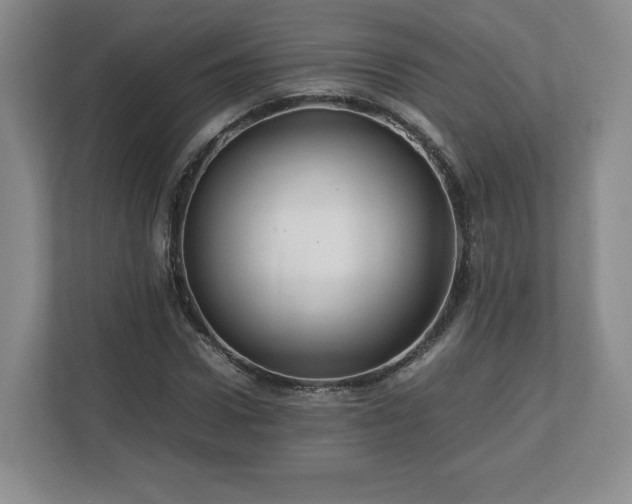 X0000113070922200909041055