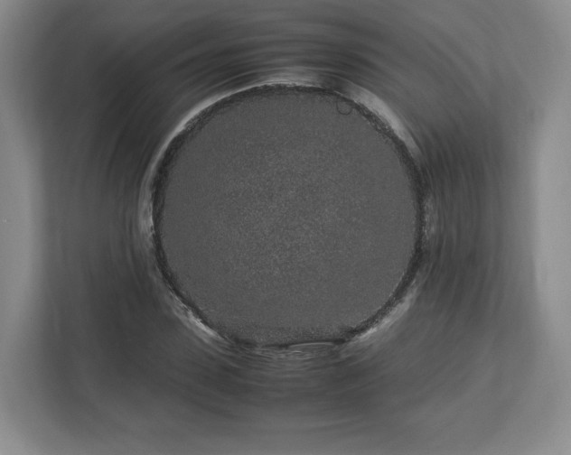 X0000113070923200909041055