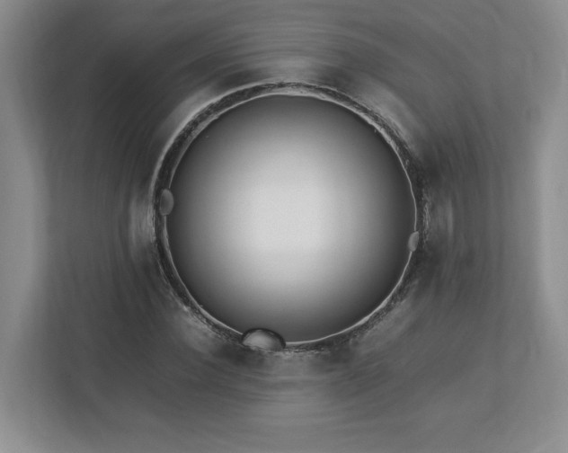 X0000113070924200909041055