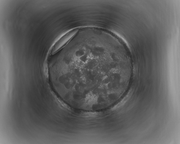 X0000113070925200909041055