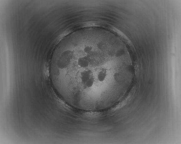 X0000113070929200909041055