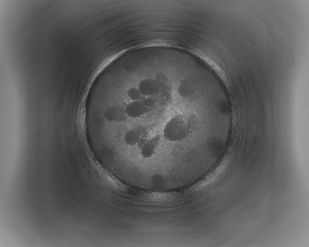 X0000113070933200909041055