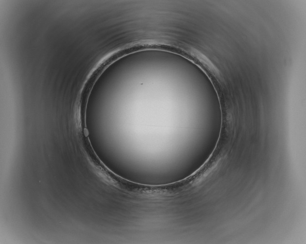 X0000113070934200909041055