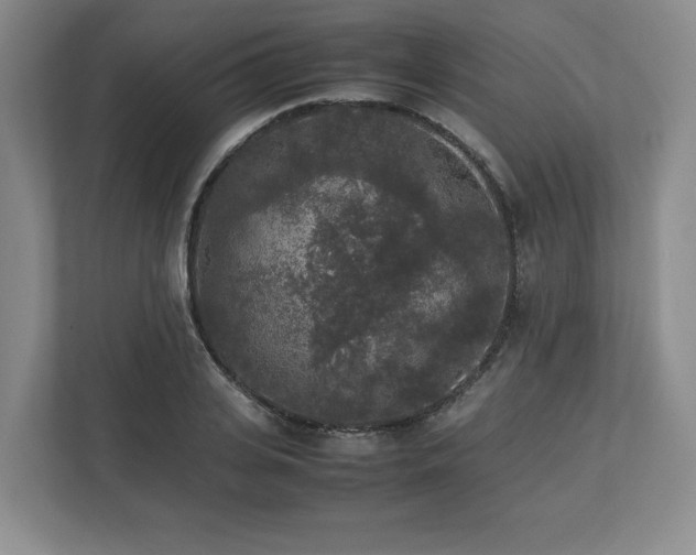 X0000113070935200909041055