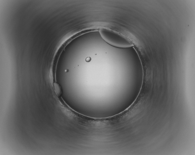 X0000113070936200909041055