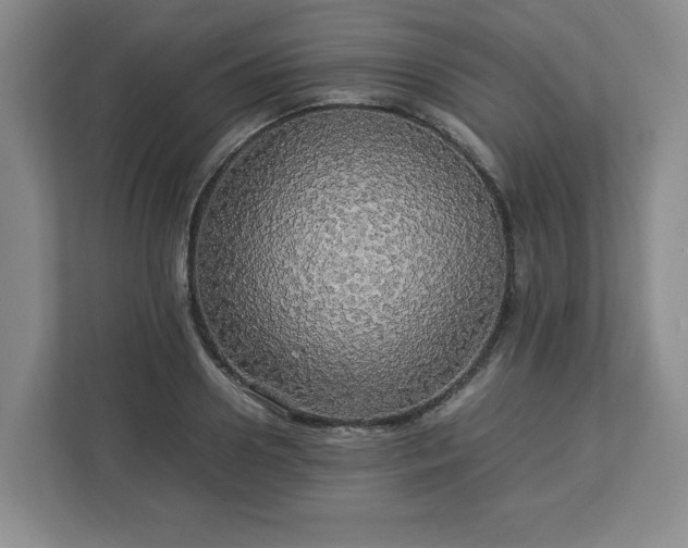 X0000113070938200909041055