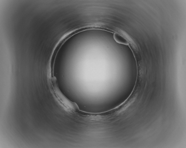 X0000113070940200909041055