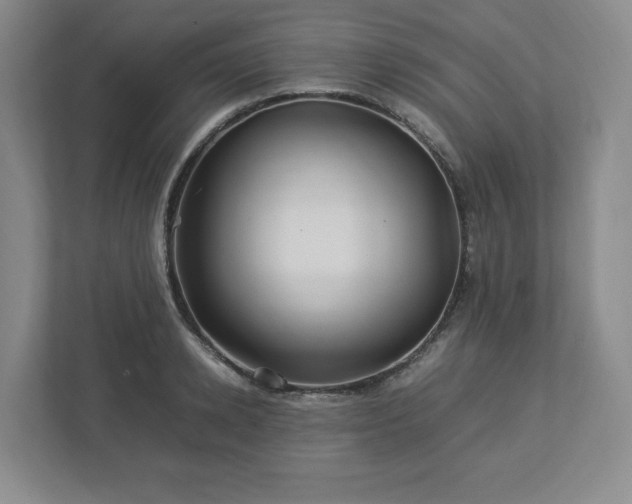 X0000113070942200909041055