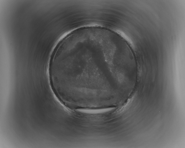 X0000113070943200909041055