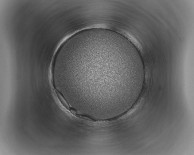 X0000113070944200909041055