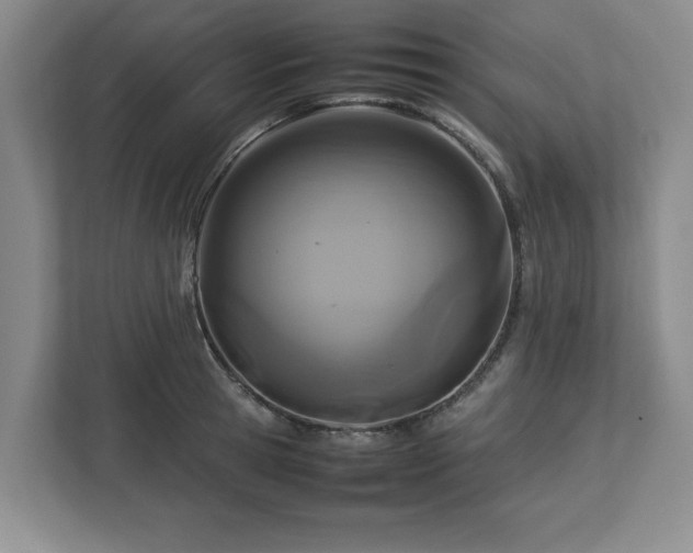 X0000113070945200909041055