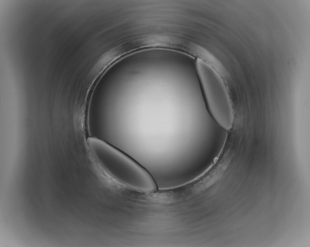 X0000113070946200909041055