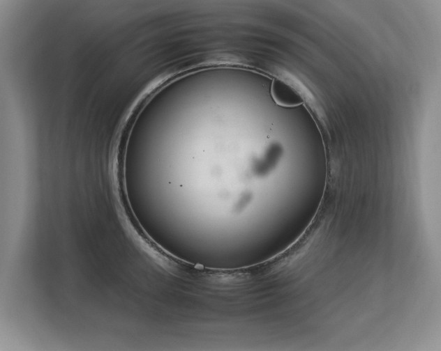 X0000113070947200909041055