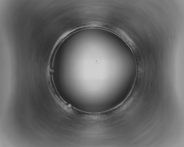 X0000113070948200909041055