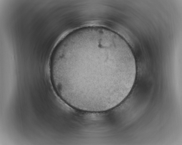 X0000113070950200909041055