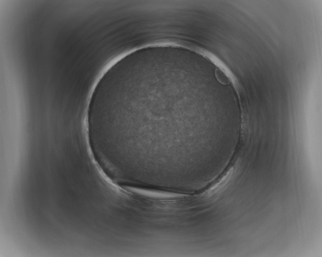 X0000113070951200909041055