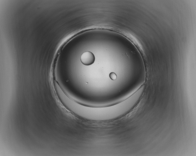 X0000113070952200909041055