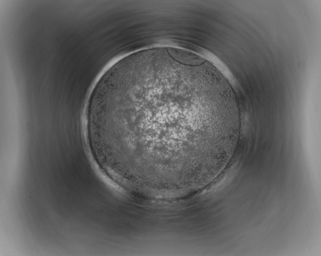 X0000113070955200909041055