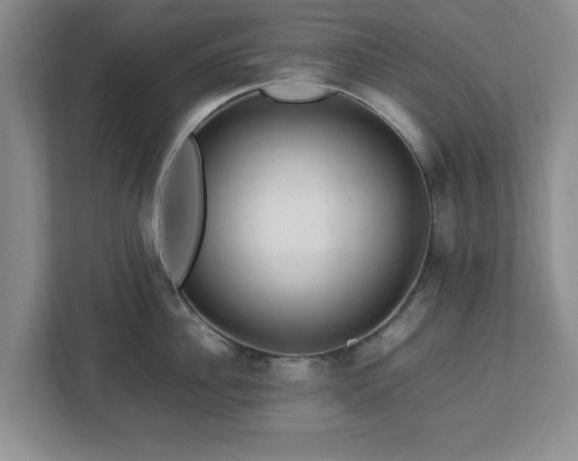 X0000113070956200909041055