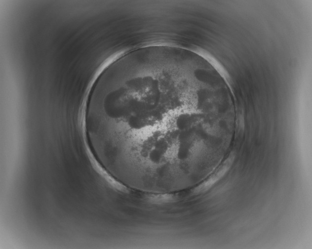 X0000113070957200909041055