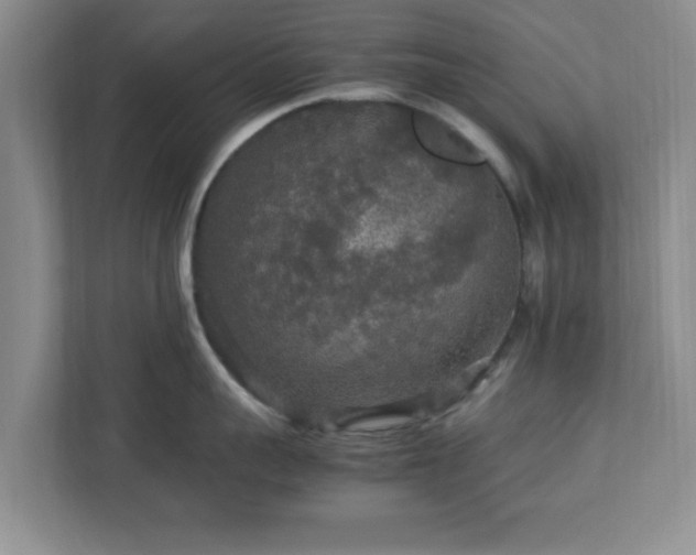 X0000113070959200909041055