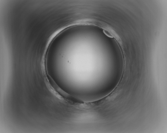 X0000113070960200909041055