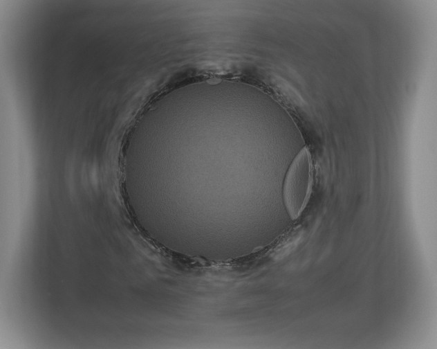 X0000113070961200909041054