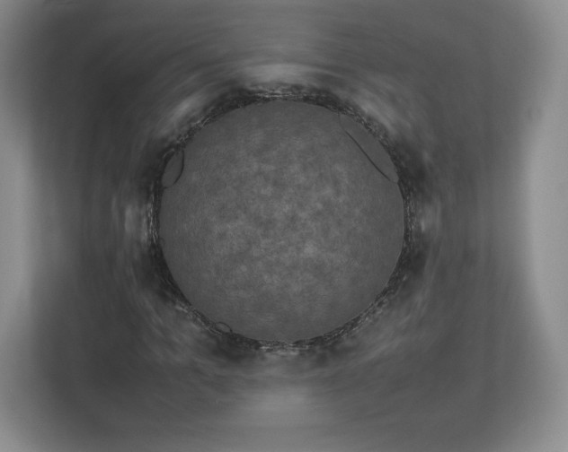 X0000113070965200909041054