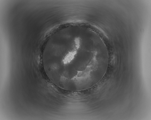 X0000113070966200909041054